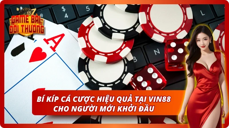 Bi kíp dành riêng cho tân thủ